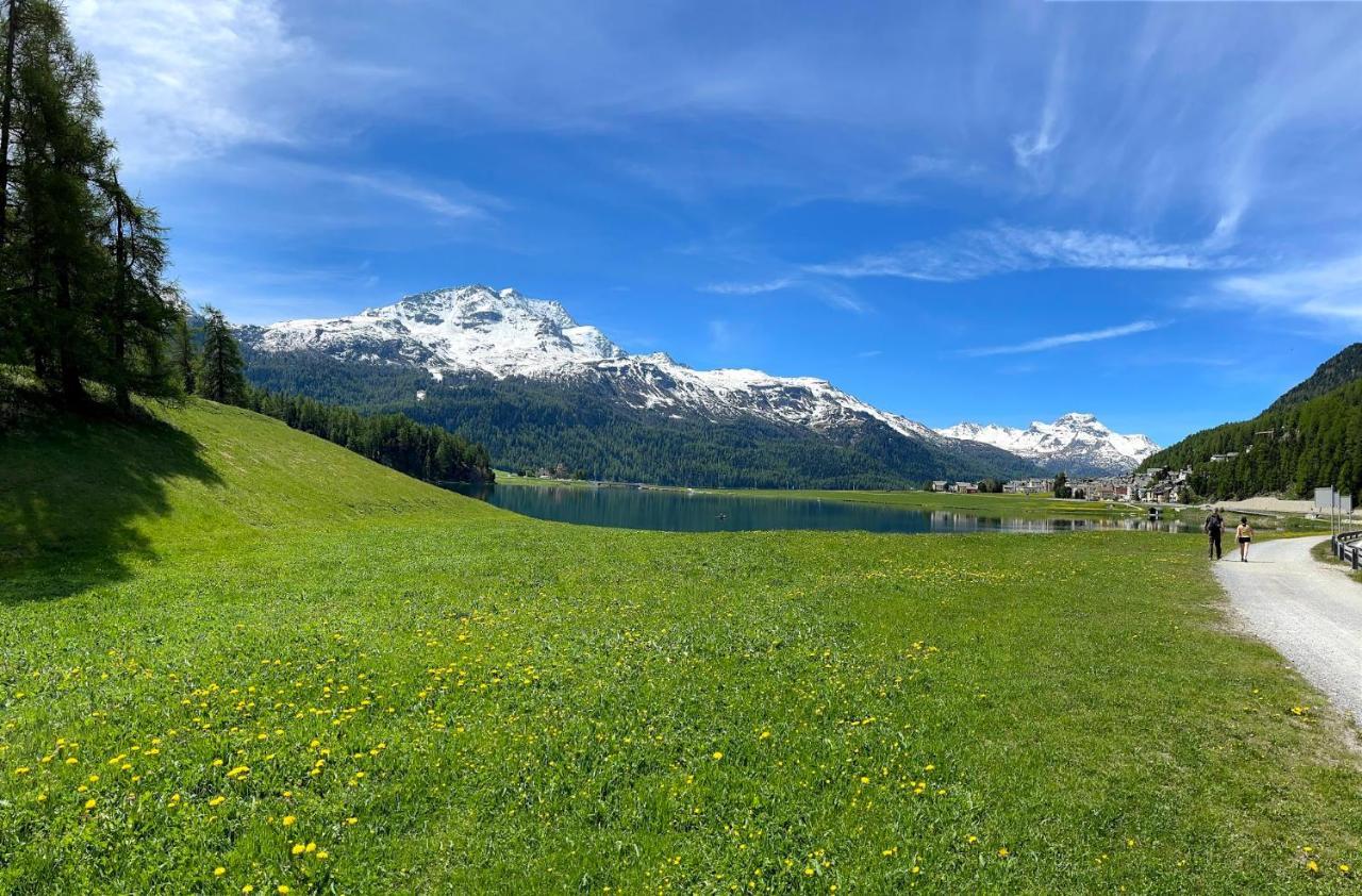 Albana 4*